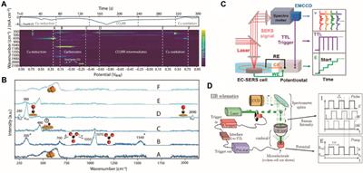 Time-resolved in situ vibrational spectroscopy for electrocatalysis: challenge and opportunity